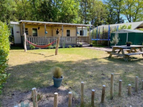 Chalet op 5 sterren camping in Raalte